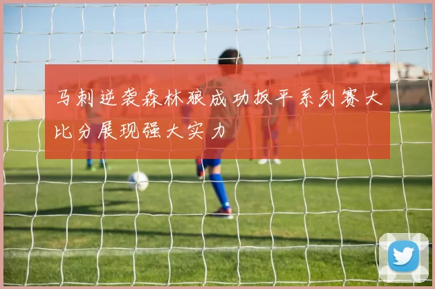 马刺逆袭森林狼成功扳平系列赛大比分展现强大实力