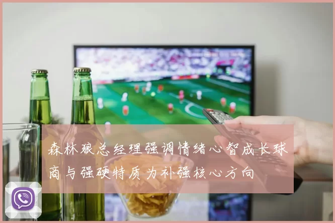 森林狼总经理强调情绪心智成长球商与强硬特质为补强核心方向