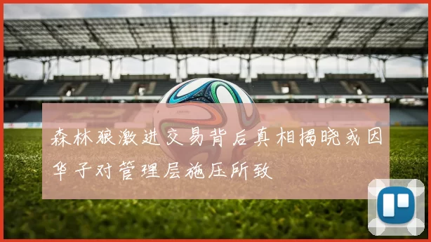 森林狼激进交易背后真相揭晓或因华子对管理层施压所致
